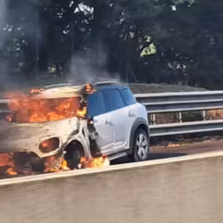 Auto a fuoco nella notte in via Gigante